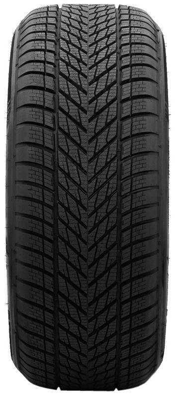 Dunlop  WINTER 205/60 R16